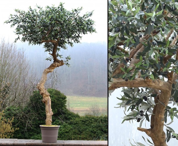 Künstlicher Olivenbaum in Schirmform 275cm hoch