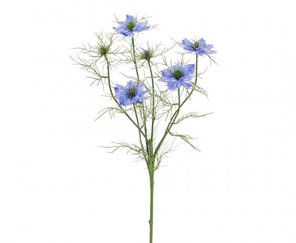 Blume Nigella "Persian Jewel" mit 4 blau-violette Blüten Länge ca. 65cm