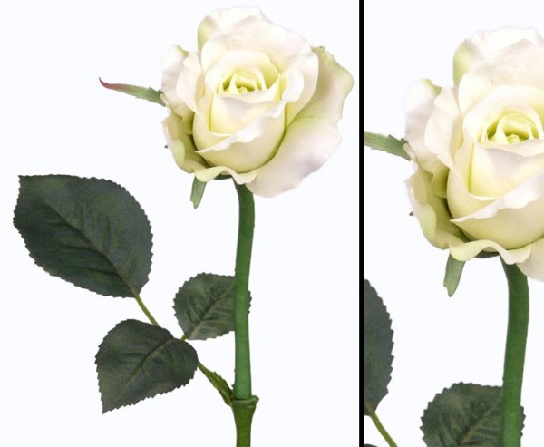 Kunstblume Rose Alice, weiß grüne Blüte Länge 30cm