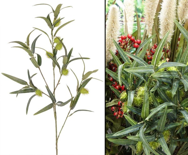 Baumwolle Seidenpflanze künstliche Ghomphocarpus fruticosus Zweig 100cm mit 7 Früchten & 41 Blätter