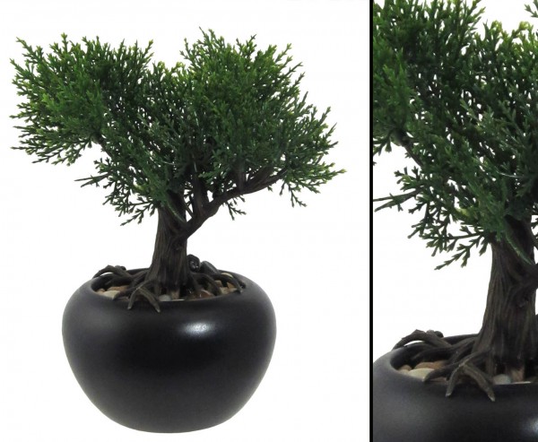 Kunstpflanze Mini Bonsai Zeder mit ca. 19cm im Keramiktopf