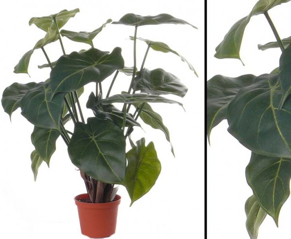 Künstliche Purpurtute Syngonium mit 20 Blätter, Höhe von 45cm