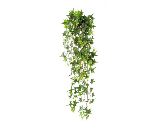 Efeuranke grün 371 Blätter Länge 90cm
