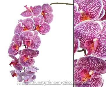 Orchideen Kunstblume mit 11 violetten Blüten, Länge 102cm