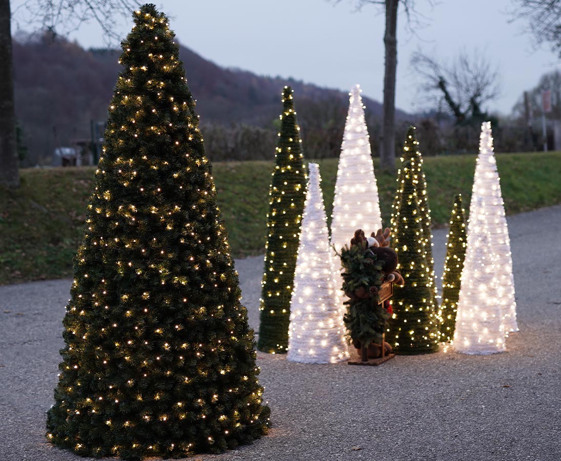 Kegelfoermige Weihnachtsbaeume im Tageslicht