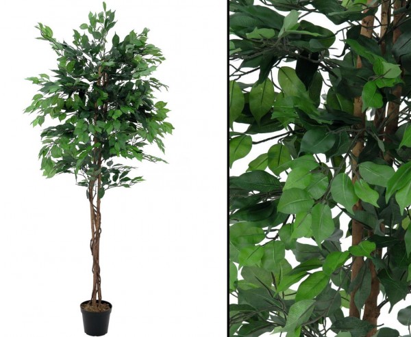 Kunst Baum Ficus Benjamini mit Multistamm Höhe 210cm