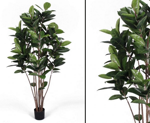 Künstlicher Gummibaum Höhe ca. 150cm mit 147 Blättern