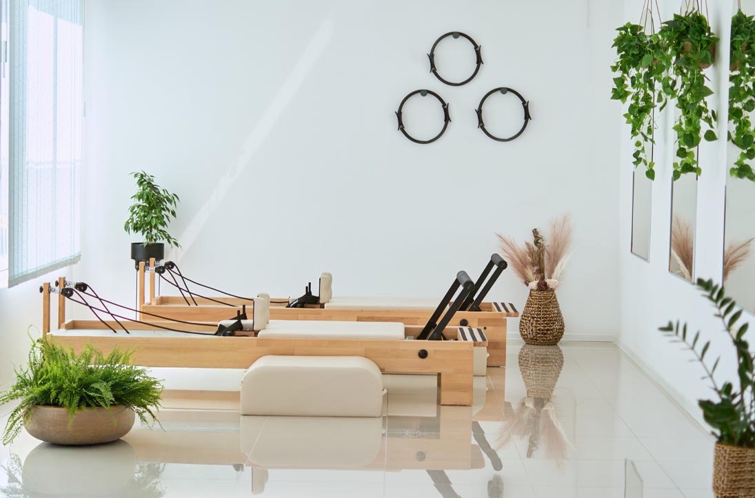 Hygienische Kunstpflanzen für Fitnessstudios