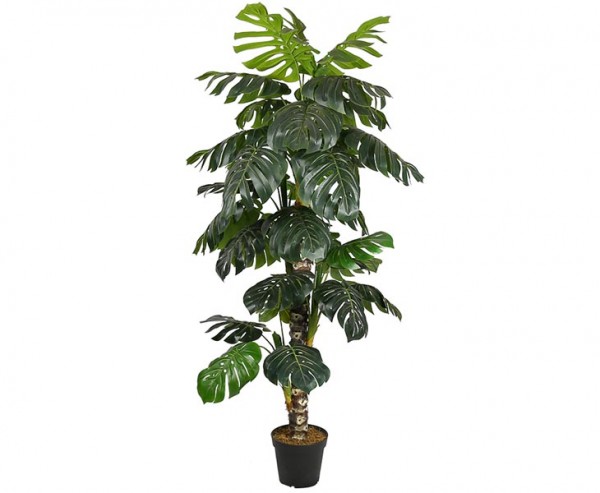 Monstera deliciosa Kunstbaum 160cm mit Topf und 34 Blätter