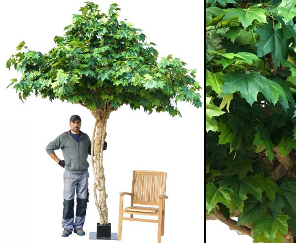 Ahorn Kunstbaum 350cm in Schirmform mit einem Durch. von 280cm mit Stahlbodenplatte