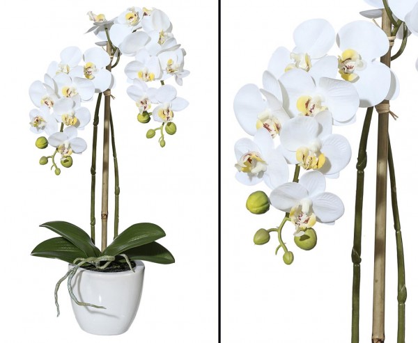 Orchideen Kunstblume mit 2 creme weiß farbigen Blütenzweigen 57cm gefühlsecht im Topf