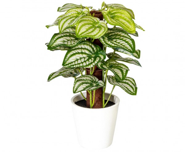 Peperomia Kunstpflanze im Topf 24cm mit 24Blätter "small green"