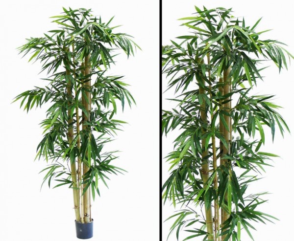 Künstliche Bambuspflanze mit 980 Blätter und ca. 240cm hoch