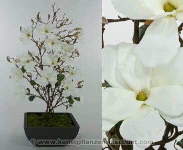 Magnoliengesteck „Korea“ mit Topf, Höhe 109cm, weiß