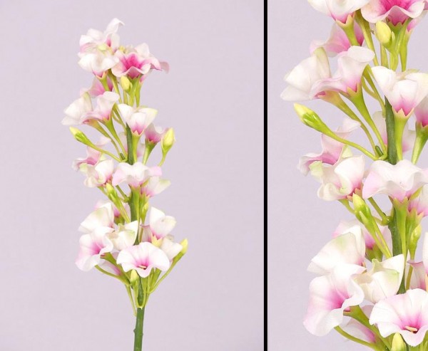 Künstliche Flammenblume Phlox, Höhe 35cm, rosa