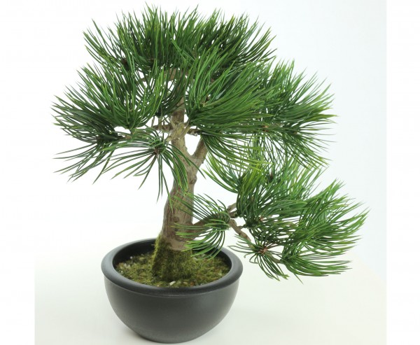 Künstlicher Bonsai Pinie 33cm im schwarzen Topf, Ø ca. 27cm