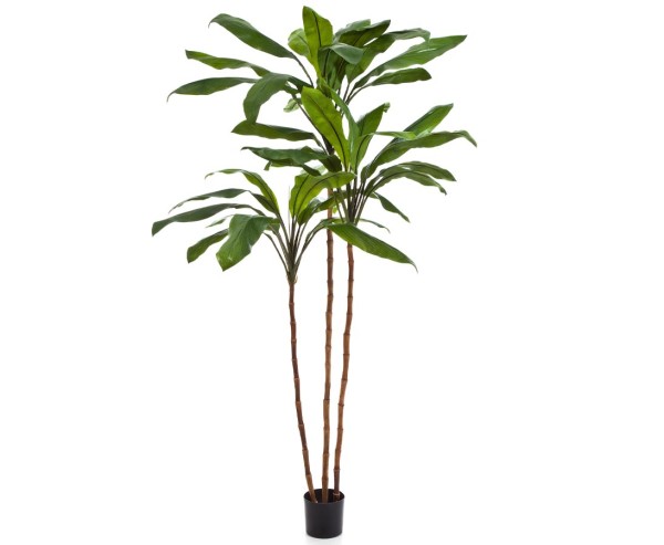 Kunstbaum Cordyline Fructicosa 210cm mit 39 Blätter im Topf