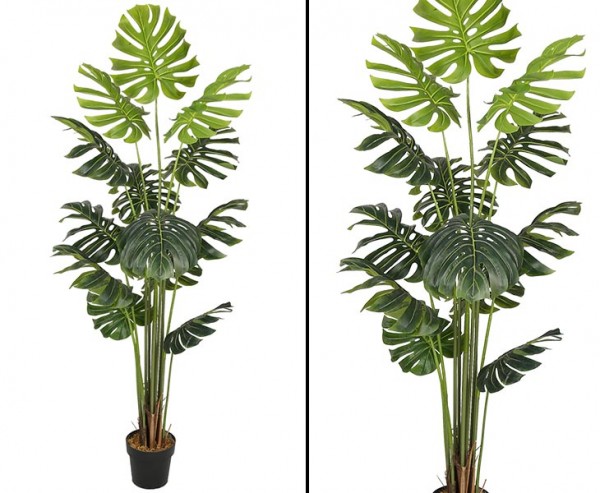 Splitphilodendron Monstera Kunstpflanze 180cm mit 18 Blättern