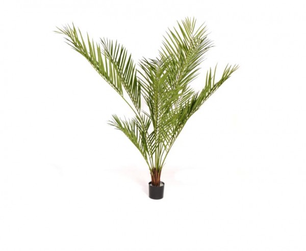 Areca Kunstpalme UV-geschützt mit 180cm und 532 Blättern