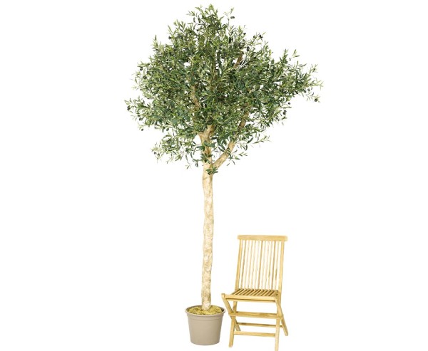 Oliven Kunstbaum 290cm mit künstlichen Früchten dicken Holzstamm und Verästelung