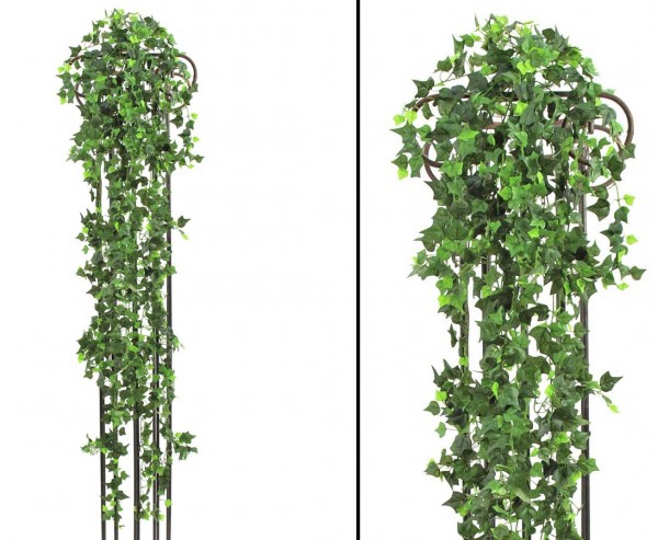 Efeubuschranke, classic Kletterpflanze, 1365 Blätter, Länge 160cm