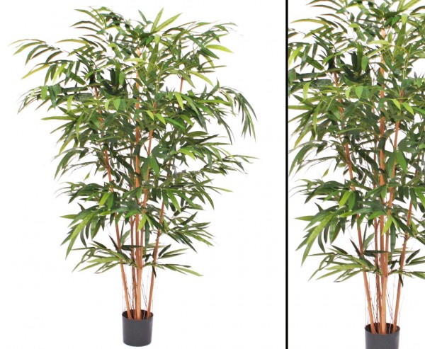 Bambusbaum mit 5 Echtstämme und 1.197 Blätter, 180cm