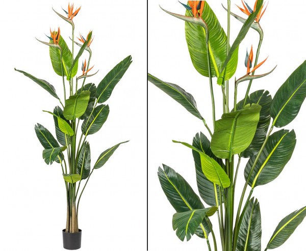 Strelizien Kunstpflanze 155cm mit 15 Blättern und 4 Blüte im Topf