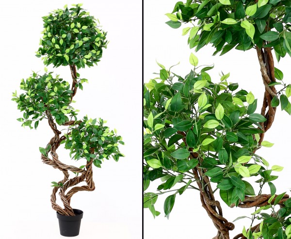 Kunstbaum Ficus mit Echt Holz Spiralstamm Höhe 160cm