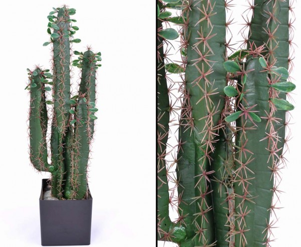 Künstlicher Sukkulenten Kaktus Wolfsmichl 75cm mit Topf