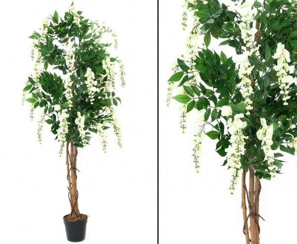 Kunstbaum Goldregen mit weißen Blüten 180cm im Zementtopf