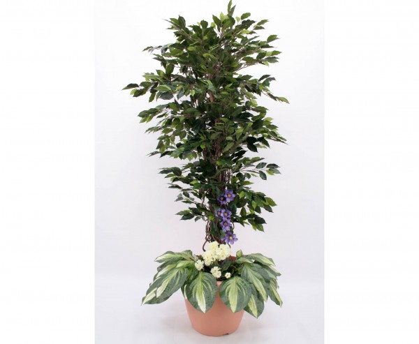 Ficus Benjamini Kunstbaum Arrangement mit weißen Geranien Höhe 180cm