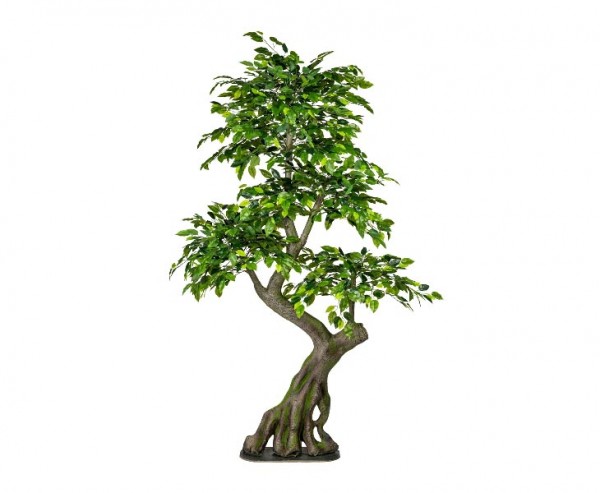 Künstlicher Ficus-Waldbaum Höhe ca. 170cm auf Bodenplatte