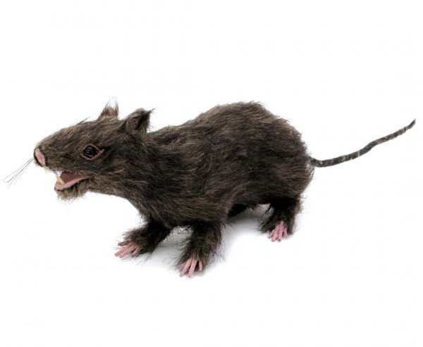Ratte, lebensecht, mit Fell 30cm lang