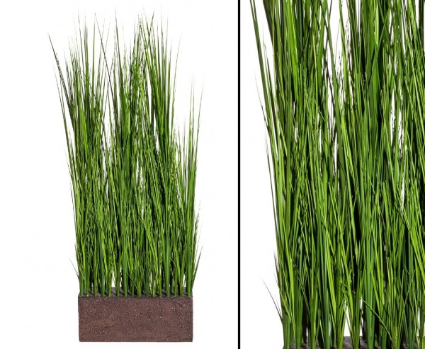 Dünengras in Steckmasse mit den Abmessungen H90 x B30cm als Raumteiler