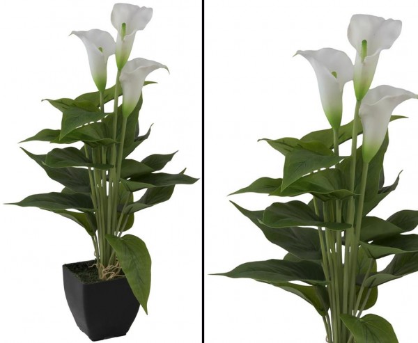 Calla Kunstpflanze im Topf mit 3 weißen Blüten 43cm
