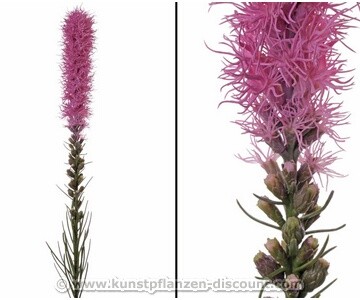 Kunstblume Prachtscharte liatris spicata rosa farbig, 80cm