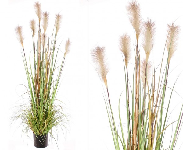 Schilfrohrgras Kunstpflanze mit 7 Blüten, 180cm Premium Qualität
