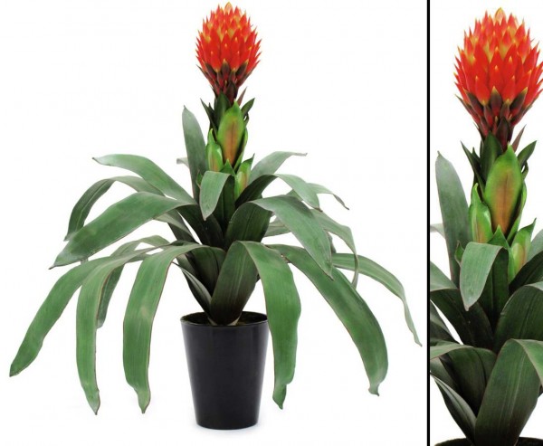 Bromelia Kunstpflanze mit 29 Blätter und 1 Blüte, Höhe ca. 68cm