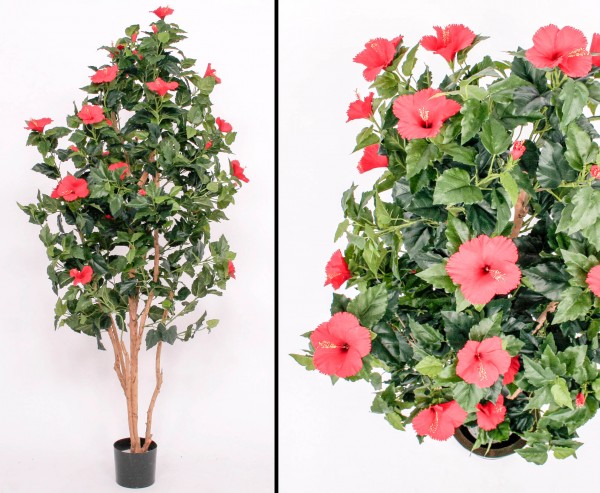Kunstbaum Hibiskus mit roten Blüten und Echtholz Stämme 180cm