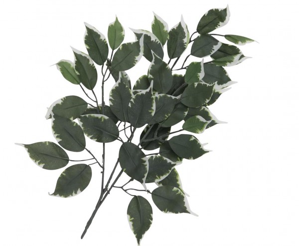 Künstliche Ficus Zweige 53cm mit grün weiße Blätter im 12er Set