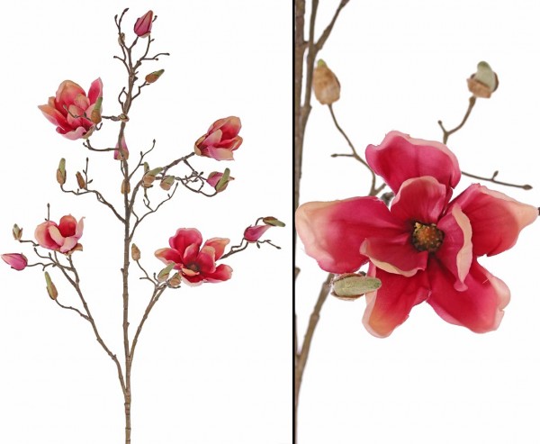 Deko Zweig Magnolien mit 4 magenta-rötlich Blüten, Höhe 107cm