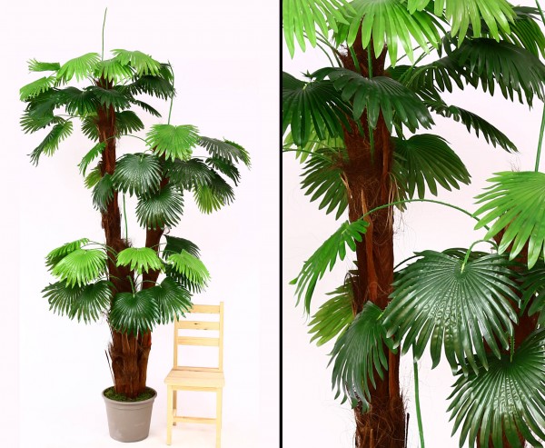 Künstliche Fächerpalme mit 3 Stämme 300cm und 250cm sowie 175cm hoch