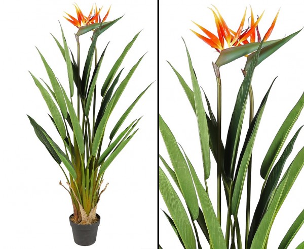 Strelitzie Kunstpflanze 135cm mit 2 Blüten und 3 Stämmen