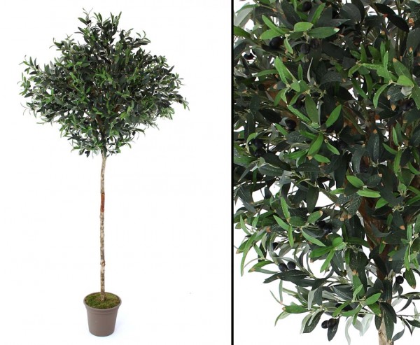 Oliven Kunstbaum mit runder Krone 100cm und Naturstamm, Höhe 200cm