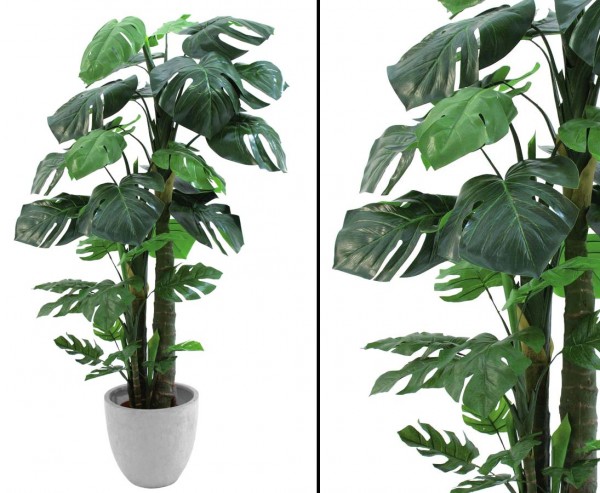 Splitphilodendron, küstliche Pflanze im Topf, Höhe 160cm