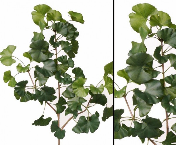 Ginkgo Baum Zweig schwer entflammbar, Länge 70cm