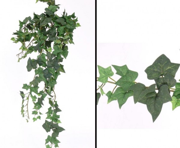 Efeu Hedera helix, Ranke, mit ca. 10 Girlanden, Länge ca. 45cm